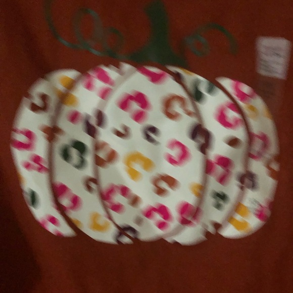 NWT Kim Rogers plus size 3X beautiful pumpkin tunic - Picture 2 of 6